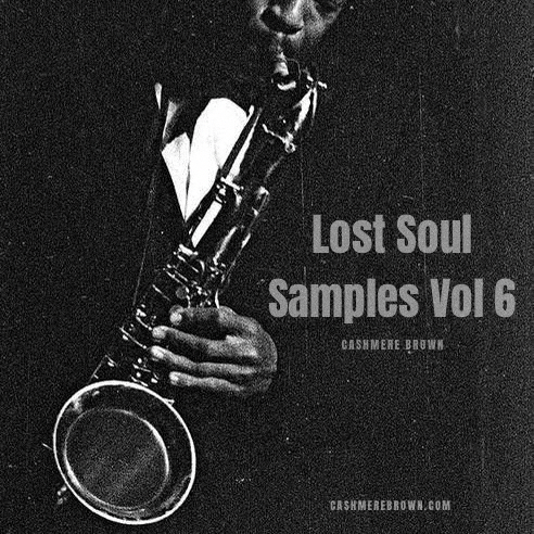 Lost Soul Samples Vol. 6