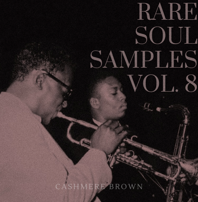 Rare Soul Samples Vol. 8