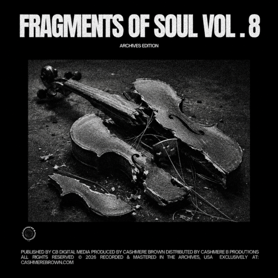 Fragments Of Soul Vol. 8