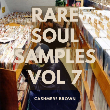Rare Soul Samples Vol 7